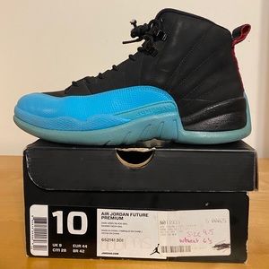 Nike Air Jordan 12 Gamma Blue Men’s Size 10 2013